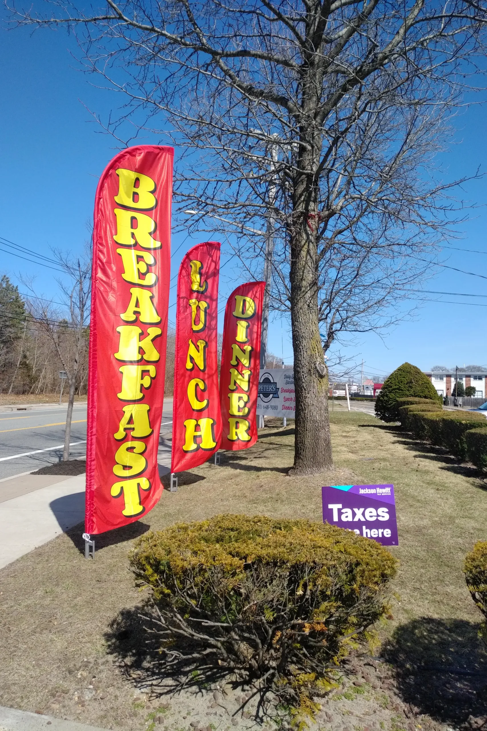 Banners & Flags